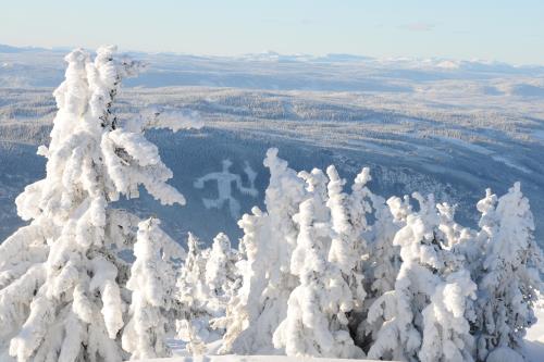 SNødekte trær med Fakkelmannen på fjellet i bakgrunnen.