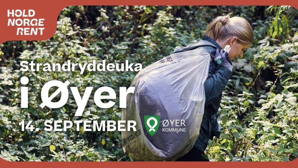 Lenke til artikkel: Bli med på strandryddeuka!